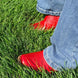 Red Shorty