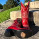 Lizy's Red Black Soul